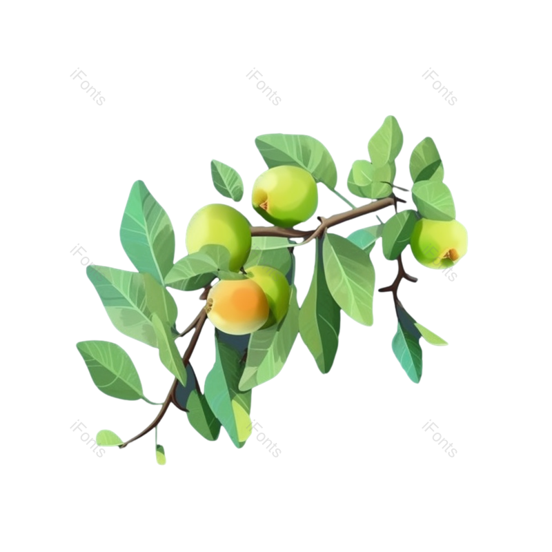 叶子图片,芒种元素,树叶PNG,绿色免抠素材